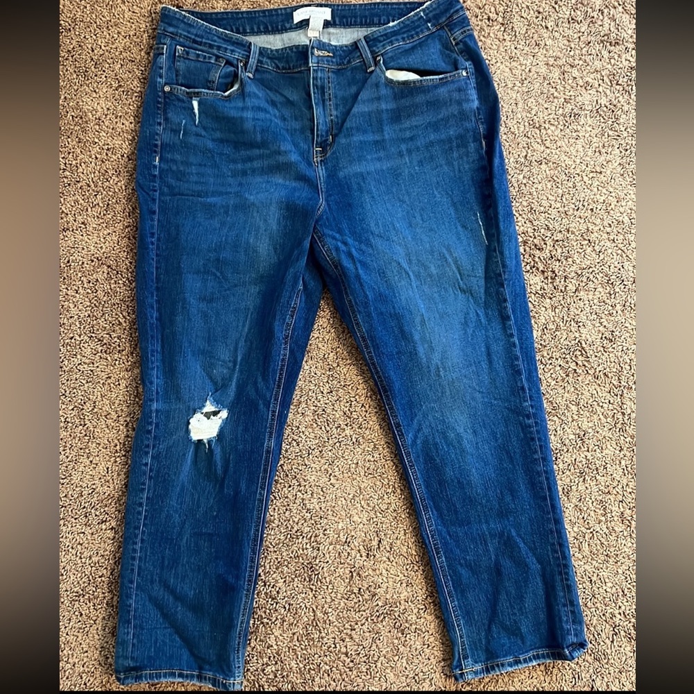 Lane Bryant jeans